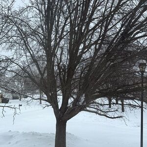 Meet your Posher, Darlene